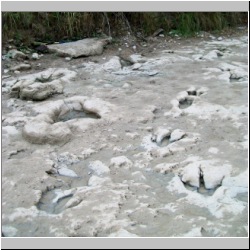 100_0791 (2009-27-07)m.JPG